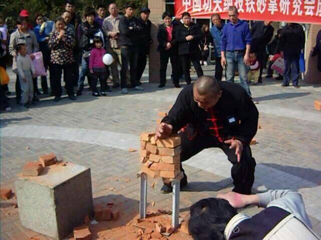 张龙祥老师功夫表演